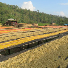 Ethiopia Natural Sidamo Guji