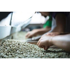 Sulawesi Toraja