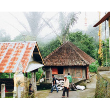 Bali Kintamani Natural