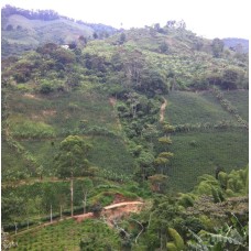 Colombia Huila Santa Maria