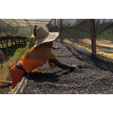 58476 Ethiopia Yirgacheffe